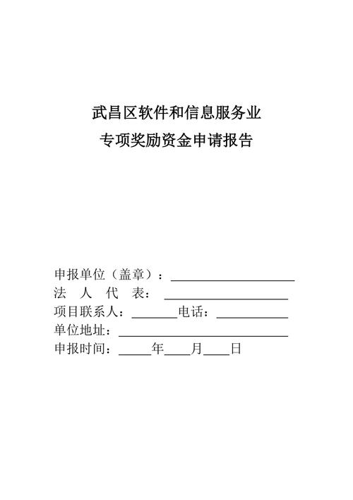 2020武昌区软件和信息服务业专项资金支持政策(万元武昌企业软件复印件) 软件开发