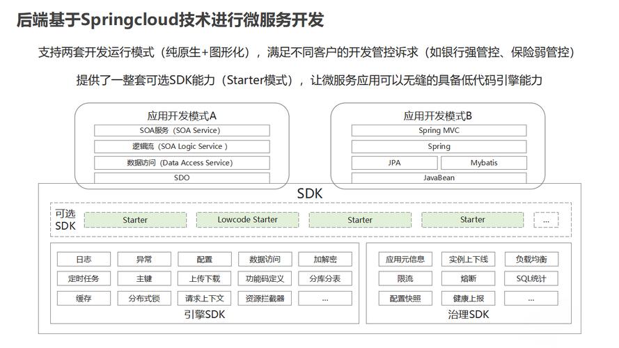 大数据时代下的软件定制开发挑战与策略(数据开发软件企业需求) 软件优化