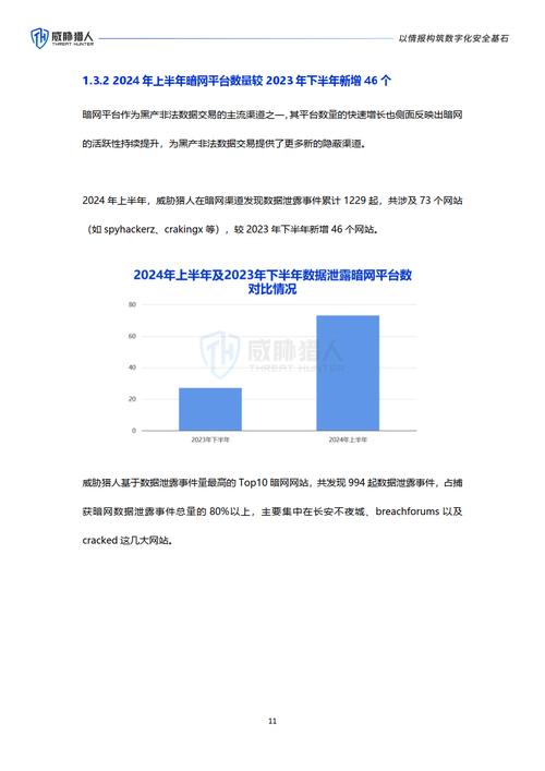 数字风险防护软件市场调研—2024年行业数据前景分析报告(防护风险数字软件全球) 软件优化