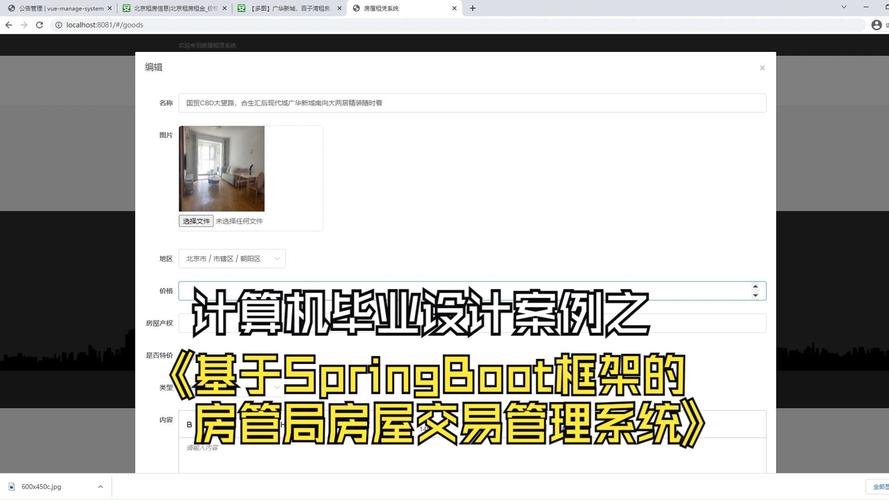 基于Spring Boot的房产中介系统-计算机毕业设计源码+LW文档(房产中介系统毕业设计用户信息) 软件优化