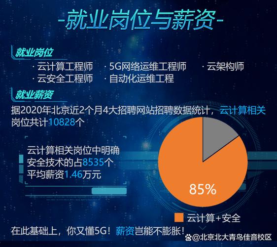 现在学什么行业和技术前景好？(计算机技术技术都是行业北大青鸟) 软件优化