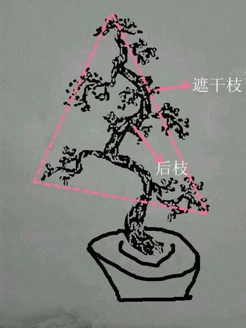 如何巧做微型盆景？(盆景树木植株枝干遮荫) 软件开发