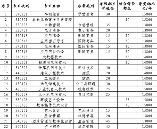 山东外国语职业技术大学2020年招生专业介绍（计算机大类）(大类职业技术外国语计算机招生专业) 软件优化