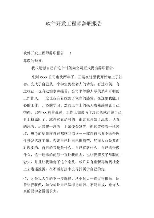 一位软件开发人员辞职报告(让我自己的公司开发人员有过) 排名链接