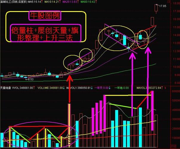 选股之前看3遍(选股详解牛股模型图文) 99链接平台