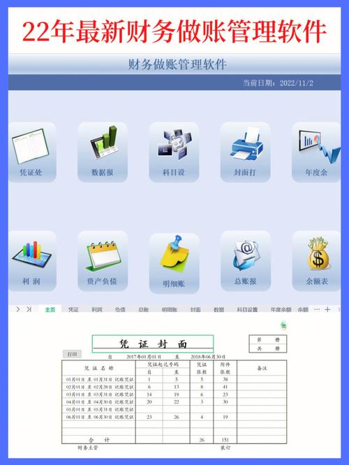 运用财务软件实现农民专业合作社财务管理规范化(合作社财务软件财务管理农民专业) 软件开发