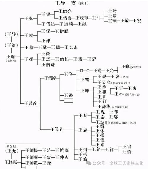 义乌凤林王氏始祖王彦超身世之谜？几名文史爱好者“吵翻了”(王氏宋史始祖后裔家谱) 软件优化