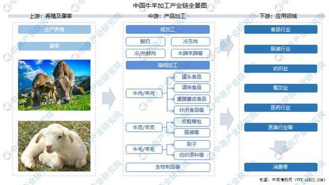 从“单一发展”到亿级产业链——临夏州打造牛羊全产业链工作综述(牛羊产业链产业发展我州) 软件开发