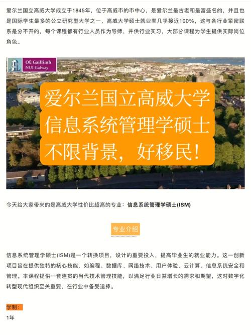 爱尔兰国立高威大学本科学费(研究大学国际商学学院) 软件开发