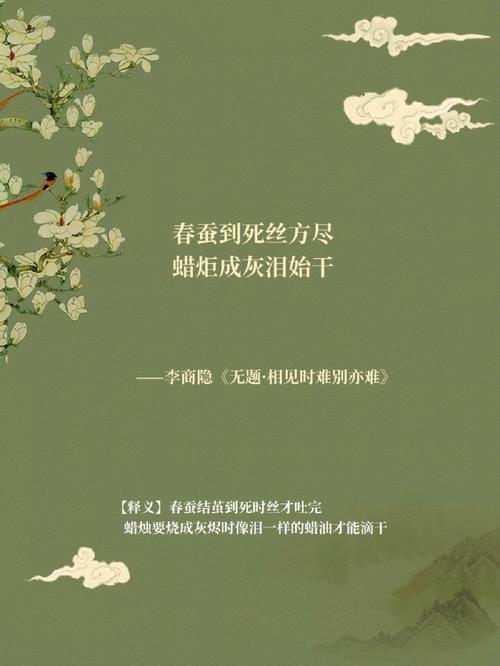 首次做小视频介绍（原创）(小视频首次诗集诗人情诗) 软件开发