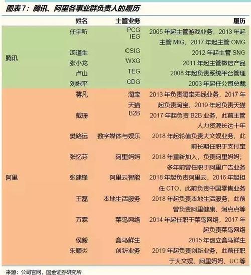 重庆互联网公司大盘点(互联网主要产品公司大盘点简介) 软件开发