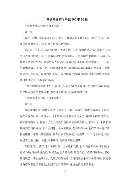 大学生实习第一周周记 计算机专业网络部门(工作无敌部门网络自己的) 软件优化