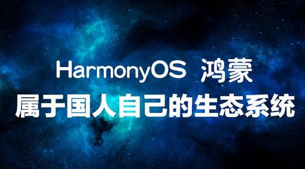 HarmonyOSNEXT助力未来：南昌航空大学周子萌的开发者之旅(鸿蒙开发者开发团队创新) 99链接平台