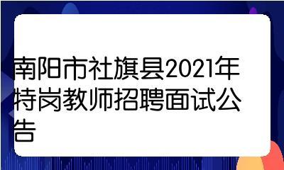 社旗县国有平台公司公开招聘(报名岗位人员招聘面试) 软件开发