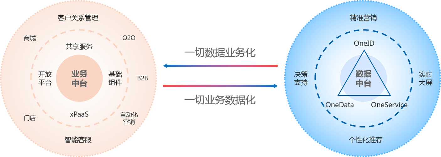 10家大数据应用的公司(数据收集他们的公司客户) 排名链接