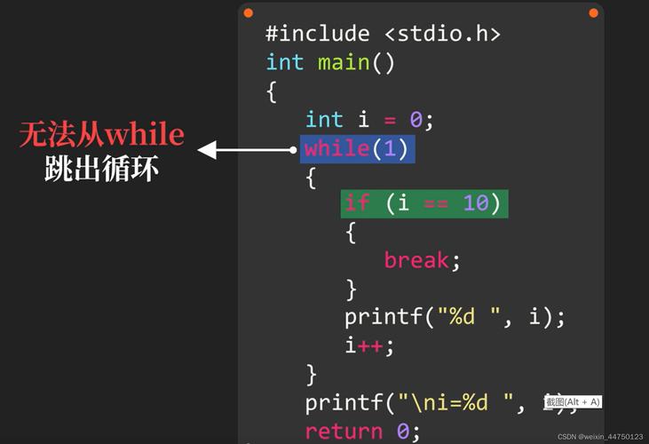 从零开始学习C语言丨C语言简介和VSCode配置全解(语言配置学习从零开始简介) 软件优化