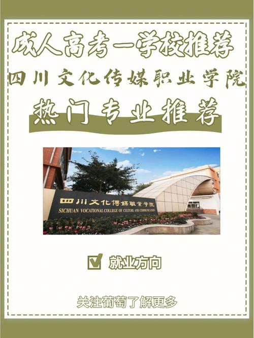 四川文化传媒职业学院2022年五年一贯制精品专业解析(专业五年能力学前教育职业学院) 软件优化