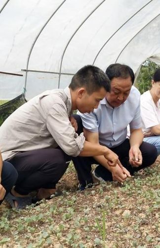 做给农民看 带着农民干——记张其安带领的省农科院蔬菜种质资源与遗传育种团队(农民蔬菜新品种农科院育种) 99链接平台