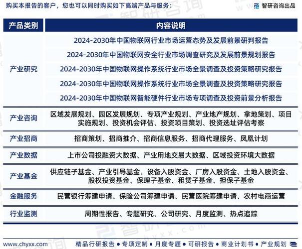 中国工业软件行业竞争格局及投资风险预警报告2024 -2030年(分析软件公司工业行业) 软件开发