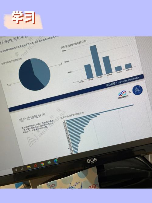 京东、美的数据分析求职经验(数据分析京东实习都是) 排名链接