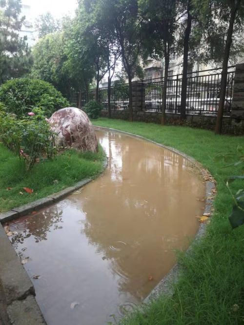 告别雨天积水！事关大庆西苑公园周边改造(雨水大庆积水径流海绵) 99链接平台