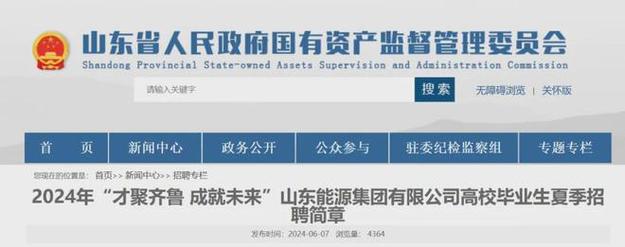 【国企招聘】中电建新能源集团股份有限公司辽宁分公司(分公司电厂国企能源集团股份有限公司) 软件开发