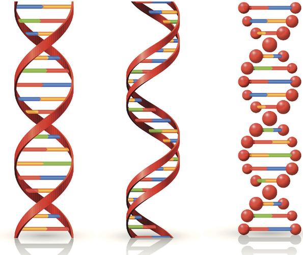 生物医药产业发展再添新动能！这家生物大分子研发生产中心在外高桥开工建设(大分子抗体生物开发中心) 软件开发