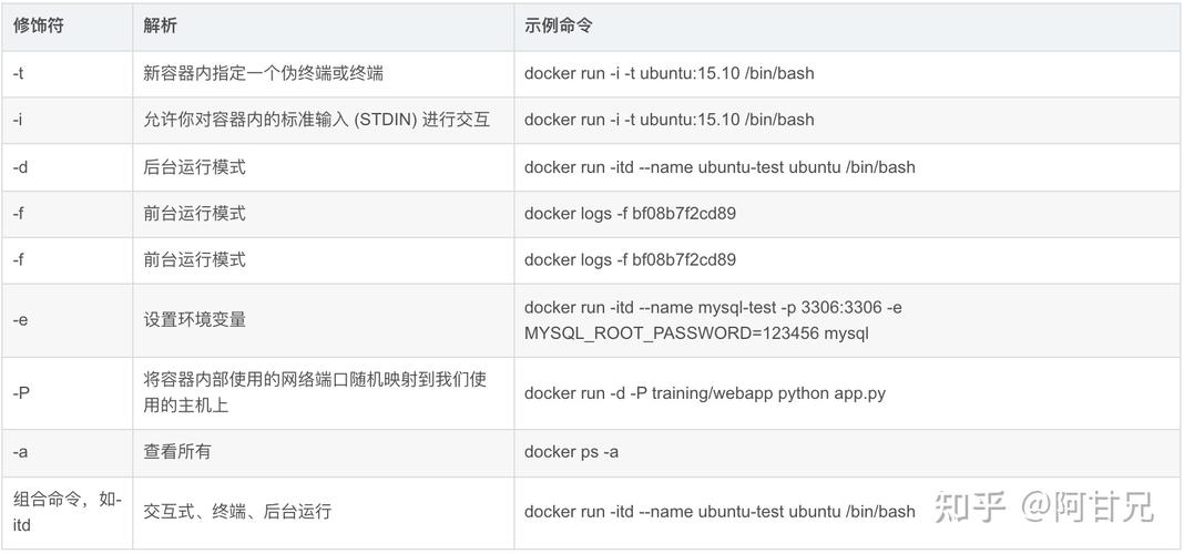 Linux 软件开发人员指南：15 容器化应用程序与Docker(容器镜像运行您的命令) 软件优化