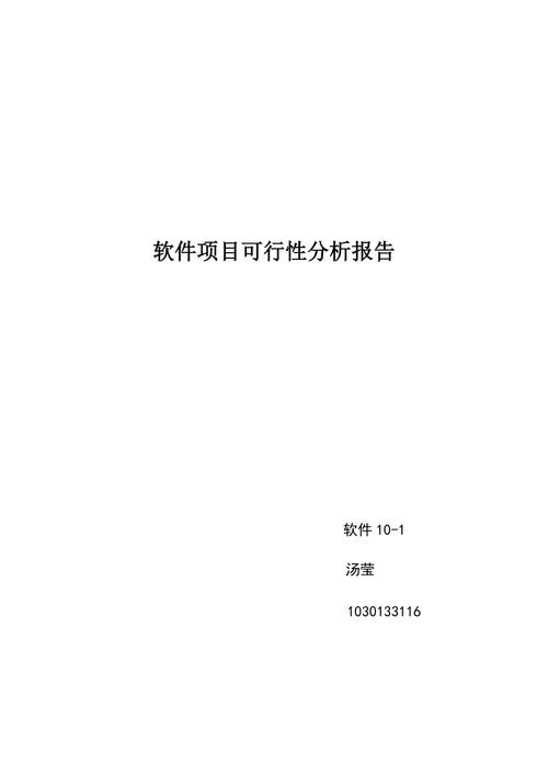 软件项目可行性研究报告编制模板(项目可行性研究报告编制模板软件) 软件开发