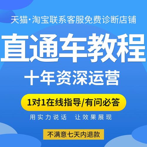 30天从0到日销5000+实操教程！(直通车店铺淘宝流量增长) 软件开发