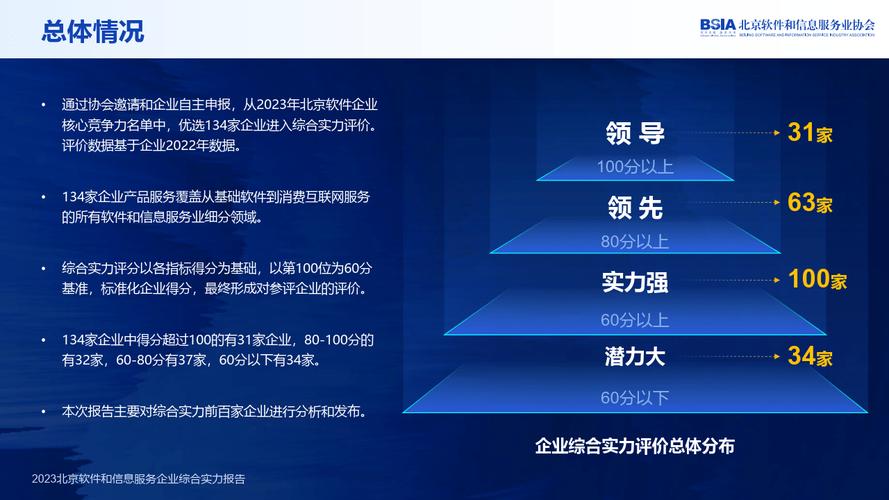 《2023北京软件和信息服务企业综合实力报告》发布(企业综合实力软件信息服务报告) 软件优化