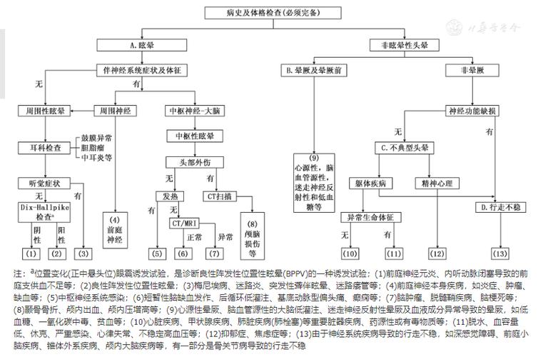 多学科协作诊疗模式在头晕/眩晕疾病中的研究进展(眩晕诊疗多学科协作患者) 99链接平台