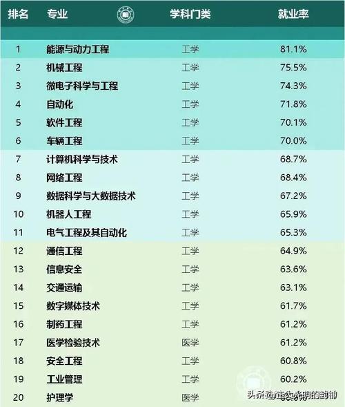 2024 年五大高就业率专业(专业软件工程就业毕业生领域) 99链接平台