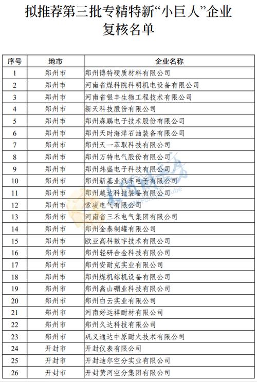 65家厦企进入第四批专精特新小巨人企业名单(科技有限公司股份有限公司有限公司科技股份有限公司企业) 软件开发