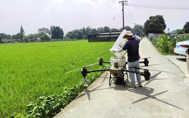 新华全媒+｜筑根基 拓渠道 兴科技——南方粮食主产区生产一线见闻(粮食农田无人机大豆水稻) 排名链接