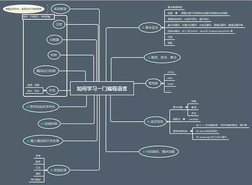 为什么现在会有这么多种编程语言？初学者应该学什么语言？(编程语言语言一门会有都是) 99链接平台