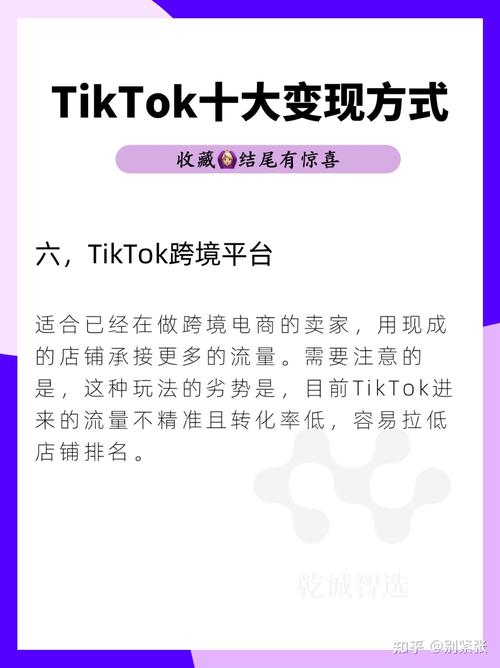 2023TikTok+独立站的变现玩法＆技巧！(广告视频引流卖家品牌) 软件开发