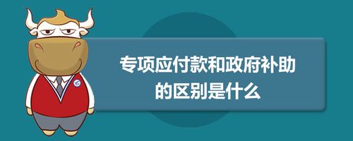 专项应付款是什么？和政府补助区别在哪里？(应付款专项补助政府企业) 99链接平台