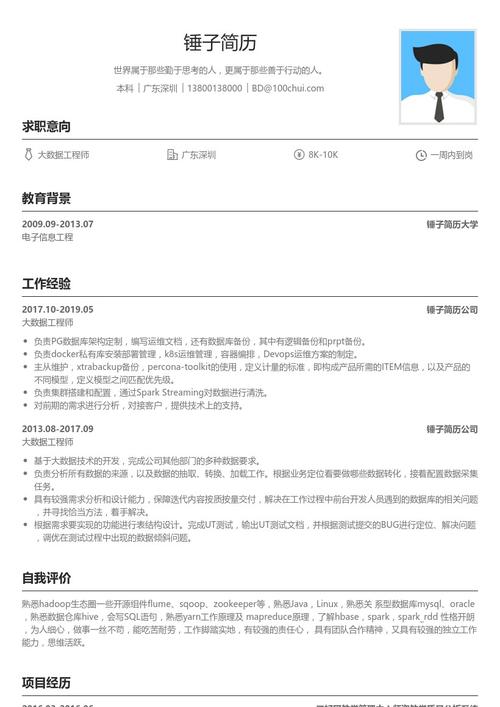 大数据开发工程师简历模板案例(数据开发工作工程师学习) 99链接平台