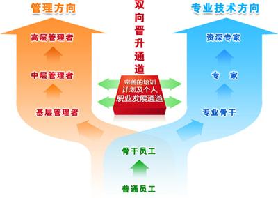 如何规划职业发展路径？(通信工程中山电子科技大学专业研究生) 软件优化