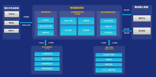 滨州海关：升级软硬件技术、开发智慧系统  不断提升服务效率(海关智慧提升棉花效率) 软件开发