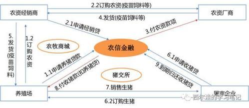 金科案例 河南农信：金融互联网平台项目(互联网服务渠道项目业务) 软件开发