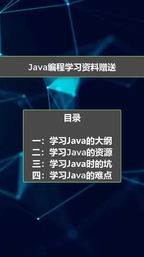 Java：为什么 Java 是软件开发人员的首选？(应用程序开发人员是一种编程语言创建) 软件优化