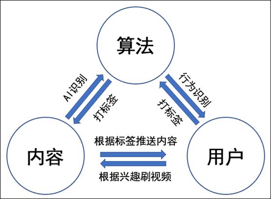 如何实现系统的全局优化(优化算法开发视频系统) 软件开发