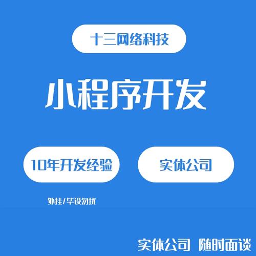 开发小程序#软件开发定制#小程序开发(开发软件项目开发项目程序开发) 99链接平台