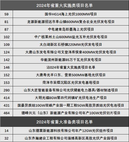 石家庄市2024年重点建设项目名单（续建）(项目科技有限公司有限公司万吨年产) 99链接平台