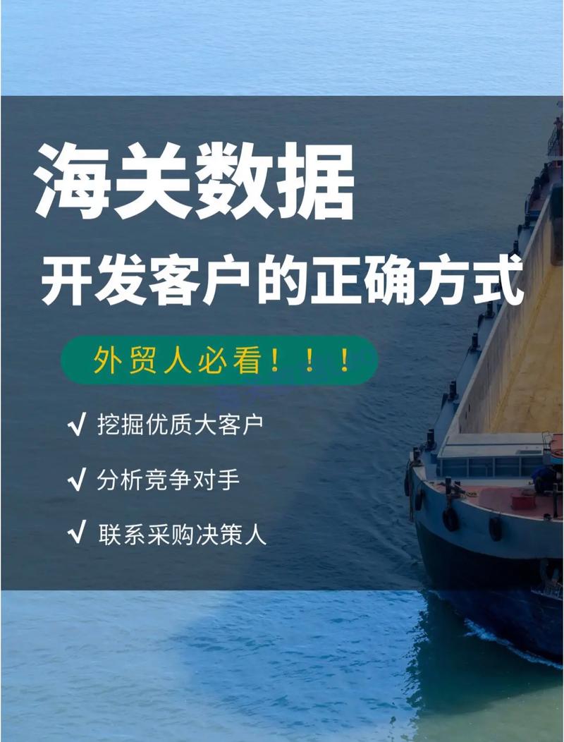 数据驱动的客户开发：利用海关数据和市场分析挖掘外贸商机(数据客户开发外贸企业外贸) 软件开发