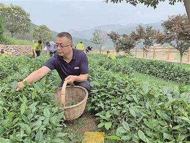 从IT男到水果种植“土专家”的逆变(葡萄种植潼南土专家水果) 排名链接