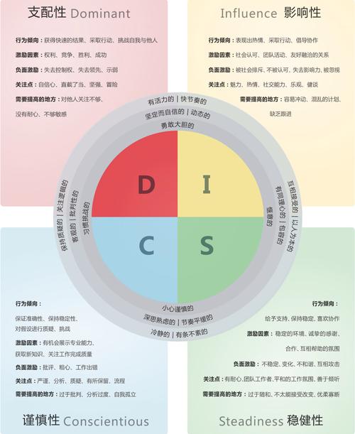 刘茗烨老师 DISC性格：知人善用的团队管理(风格团队员工管理善用) 软件优化