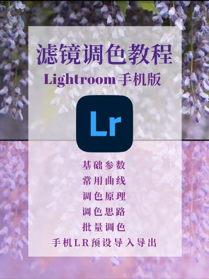 Lightroom手机版基础教学：后期调色修图的基本流程(调色流程后期手机基础) 99链接平台